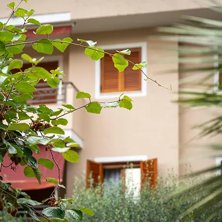 Apartment Maslina